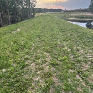 Photo #13 of 1613 Derby Rd, Jackson Springs, NC 343.0 acres