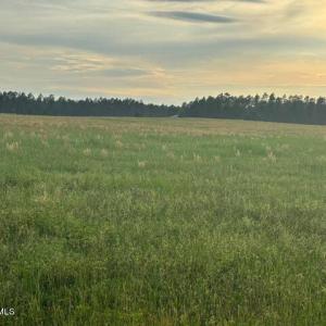 Photo #5 of 1613 Derby Rd, Jackson Springs, NC 343.0 acres