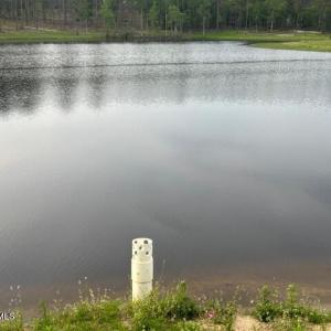 Photo #6 of 1613 Derby Rd, Jackson Springs, NC 343.0 acres