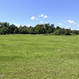 Photo #2 of 135-137 Royal, Merry Hill, NC 0.6 acres
