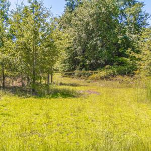 Photo #11 of Tbd Blue Springs, Red Springs, NC 62.0 acres