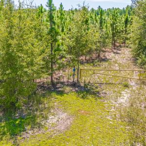 Photo #7 of Tbd Blue Springs, Red Springs, NC 62.0 acres