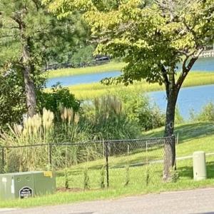 Photo #6 of 325 Trelawney, Wilmington, NC 0.3 acres