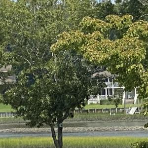 Photo #7 of 325 Trelawney, Wilmington, NC 0.3 acres