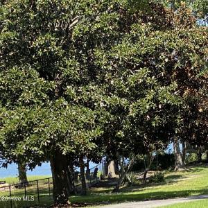 Photo #5 of 325 Trelawney, Wilmington, NC 0.3 acres