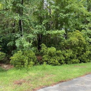Photo #2 of 325 Trelawney, Wilmington, NC 0.3 acres