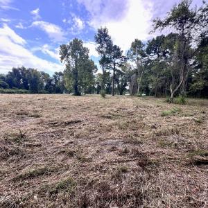 Photo #13 of 36 Waterway, Belhaven, NC 5.6 acres