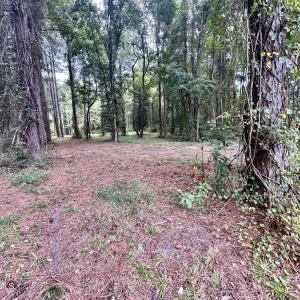 Photo #17 of 36 Waterway, Belhaven, NC 5.6 acres