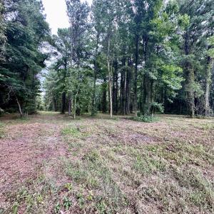 Photo #10 of 36 Waterway, Belhaven, NC 5.6 acres