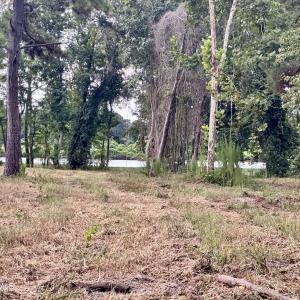 Photo #15 of 36 Waterway, Belhaven, NC 5.6 acres