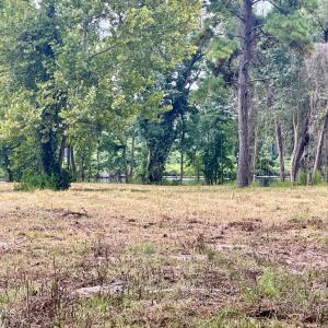 Photo #19 of 36 Waterway, Belhaven, NC 5.6 acres