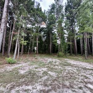 Photo #8 of 36 Waterway, Belhaven, NC 5.6 acres