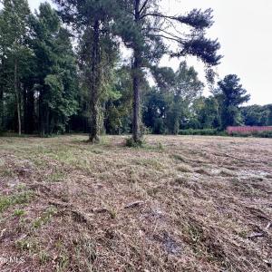 Photo #11 of 36 Waterway, Belhaven, NC 5.6 acres