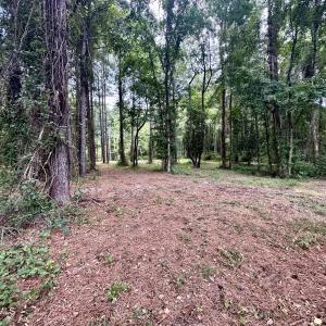 Photo #12 of 36 Waterway, Belhaven, NC 5.6 acres