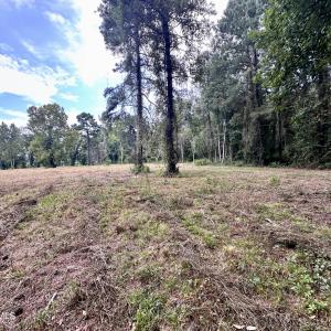 Photo #18 of 36 Waterway, Belhaven, NC 5.6 acres