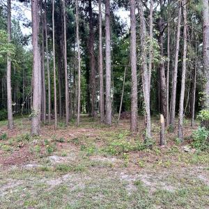 Photo #9 of 36 Waterway, Belhaven, NC 5.6 acres
