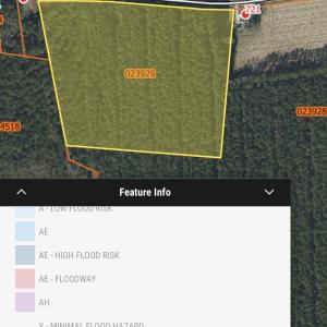 Photo #4 of Near 721 Near 721 Joe Piver R, Chadbourn, NC 10.0 acres