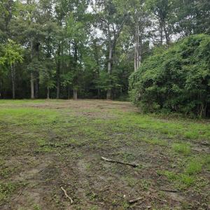 Photo #2 of 150 Castle, New Bern, NC 3.9 acres