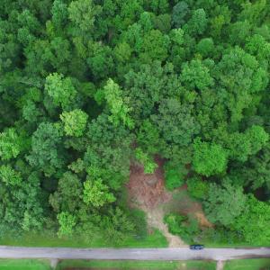 Photo #11 of 150 Castle, New Bern, NC 3.9 acres