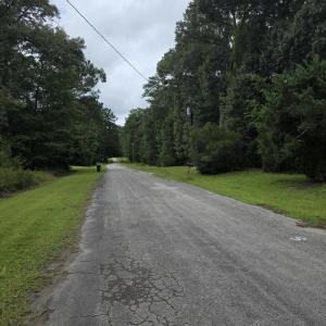 Photo #7 of 150 Castle, New Bern, NC 3.9 acres