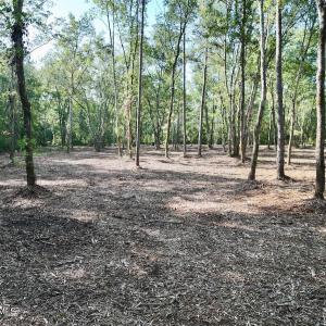 Photo #18 of Guinea Mill, Ernul, NC 461.4 acres