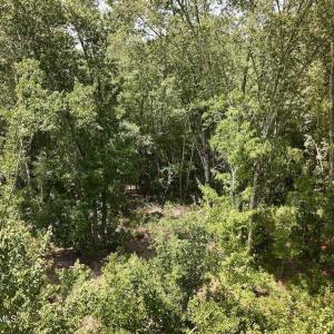 Photo #26 of Guinea Mill, Ernul, NC 461.4 acres