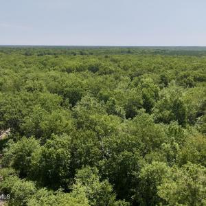 Photo #41 of Guinea Mill, Ernul, NC 461.4 acres