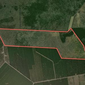 Photo #49 of Guinea Mill, Ernul, NC 461.4 acres