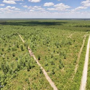 Photo #36 of Guinea Mill, Ernul, NC 461.4 acres