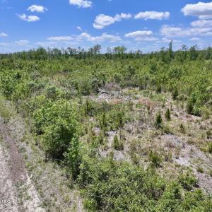 Photo #32 of Guinea Mill, Ernul, NC 461.4 acres
