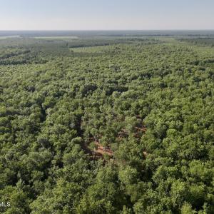 Photo #12 of Guinea Mill, Ernul, NC 461.4 acres