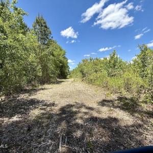 Photo #39 of Guinea Mill, Ernul, NC 461.4 acres