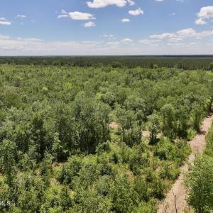 Photo #4 of Guinea Mill, Ernul, NC 461.4 acres
