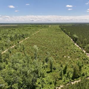 Photo #29 of Guinea Mill, Ernul, NC 461.4 acres