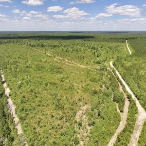 Photo #34 of Guinea Mill, Ernul, NC 461.4 acres