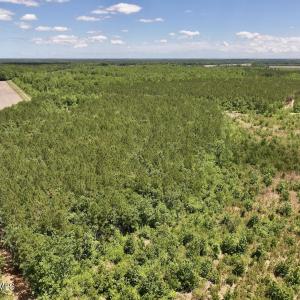 Photo #3 of Guinea Mill, Ernul, NC 461.4 acres