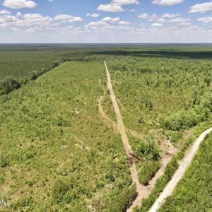 Photo #35 of Guinea Mill, Ernul, NC 461.4 acres