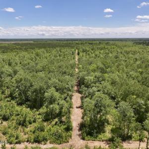 Photo #28 of Guinea Mill, Ernul, NC 461.4 acres