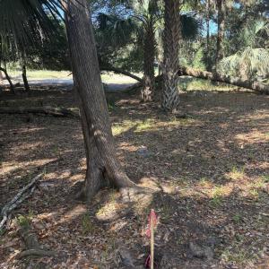 Photo #10 of 222 Bald Head, Bald Head Island, NC 0.2 acres