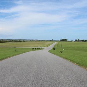 Photo #15 of Lot 157 Bald Eagle Point, Hertford, NC 1.1 acres