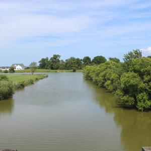 Photo #17 of Lot 157 Bald Eagle Point, Hertford, NC 1.1 acres
