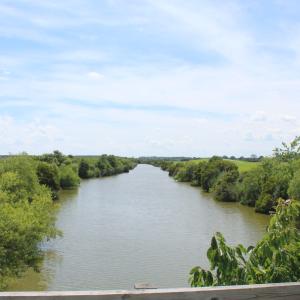 Photo #16 of Lot 157 Bald Eagle Point, Hertford, NC 1.1 acres