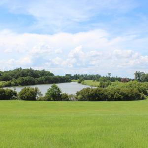 Photo #13 of Lot 157 Bald Eagle Point, Hertford, NC 1.1 acres
