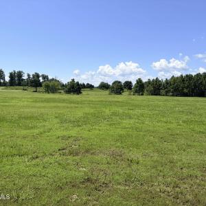 Photo #1 of 132 Royal, Merry Hill, NC 0.3 acres