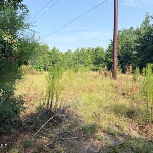 Photo #1 of 141 Autumn Chase, Beech Island, SC 23.0 acres