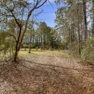 Photo #5 of 5535 Fulton, Castle Hayne, NC 21.1 acres