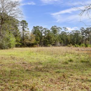 Photo #6 of 5535 Fulton, Castle Hayne, NC 21.1 acres