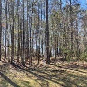 Photo #1 of K-6 Shooting Match Lane, North Augusta, SC 0.7 acres