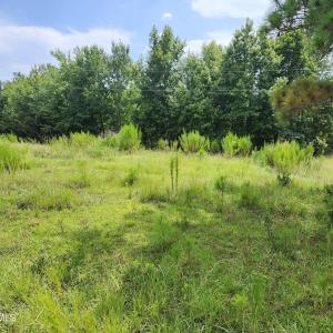 Photo #2 of 306 Howards Landing, Hampstead, NC 4.6 acres