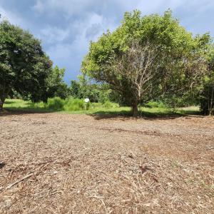 Photo #8 of 306 Howards Landing, Hampstead, NC 4.6 acres